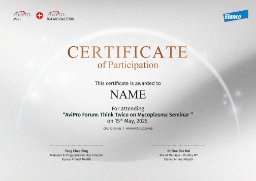 E-Certificate